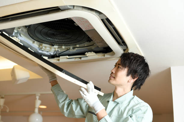 Best Duct Cleaning Specialists  in Willis, TX